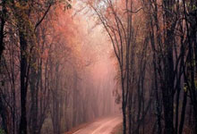 [英超]曼联、切尔西双双被绝平.