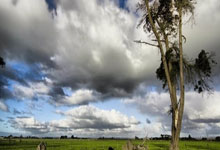 [CBA]周琦砍两双 北汽主场胜上海.