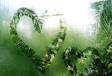 TA:利物浦所有者芬威集团考虑收购马拉加,此前已评估相关事项.