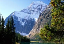 FIFPRO高层：皇马有权保护自己的球员，FIFA一直忽视我们的请求.